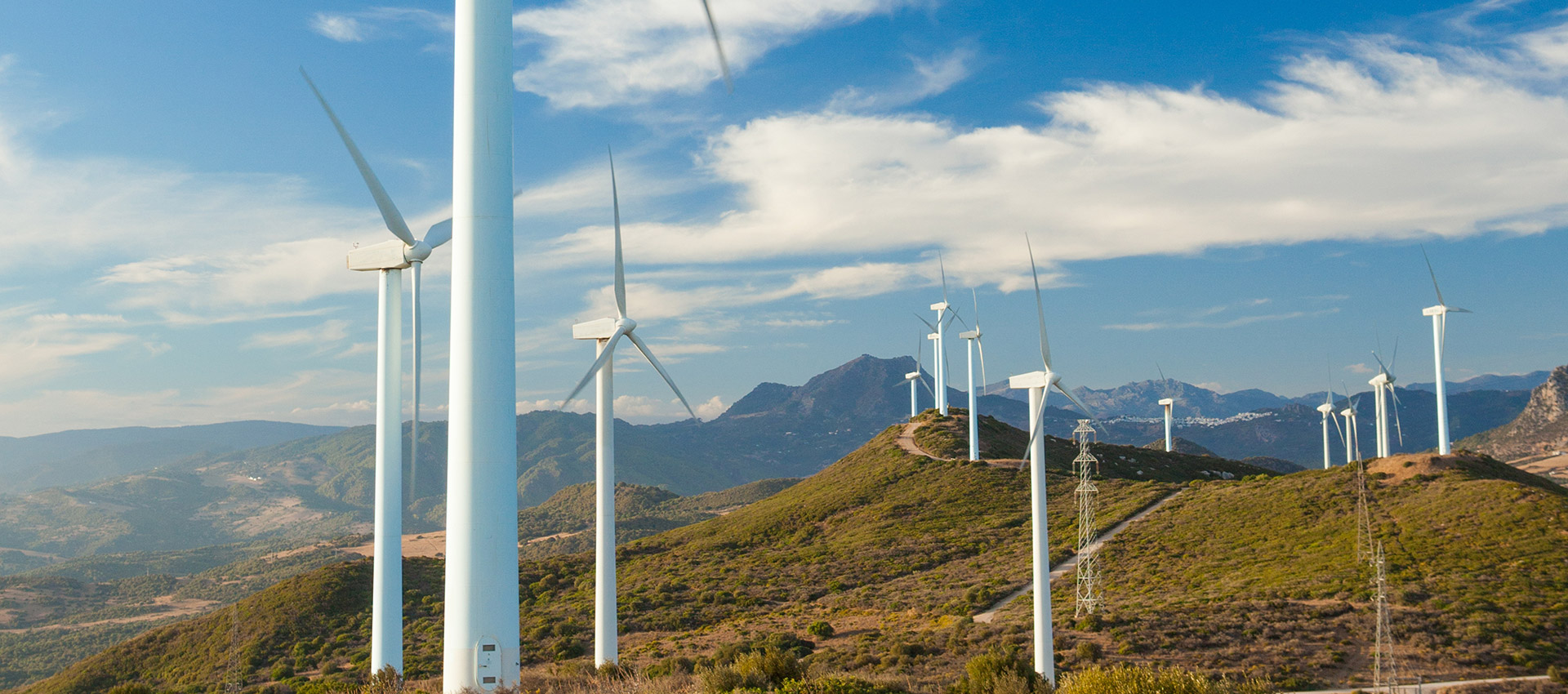 découvrez comment la branche éolienne transforme l'énergie renouvelable en puissance durable. explorez les innovations et les avantages des éoliennes pour un avenir énergétique respectueux de l'environnement.
