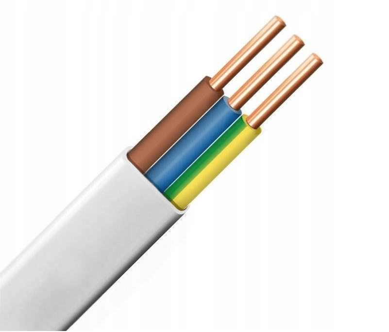 découvrez notre câble 3x6mm², idéal pour vos projets électriques nécessitant une grande capacité de puissance. robustesse et flexibilité se rencontrent pour garantir des installations fiables et durables. parfait pour une utilisation résidentielle et professionnelle.