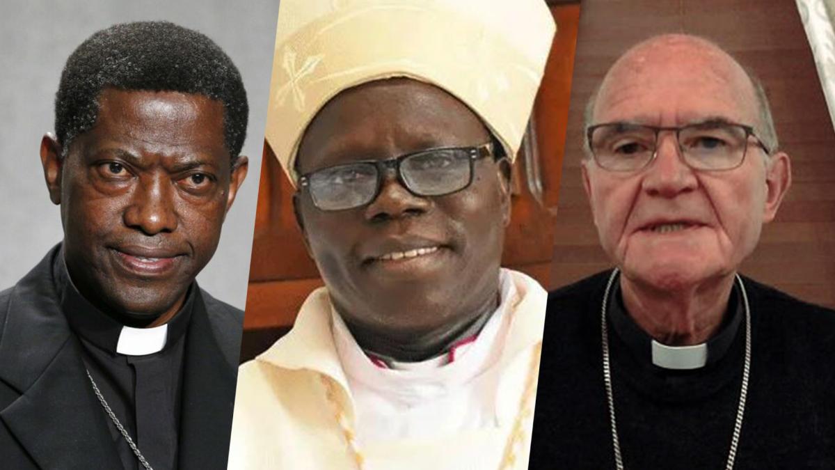découvrez l'univers fascinant des cardinaux, ces oiseaux aux couleurs vives symbolisant la joie et la spiritualité. apprenez-en plus sur leur habitat, leur comportement et leur importance dans différentes cultures.