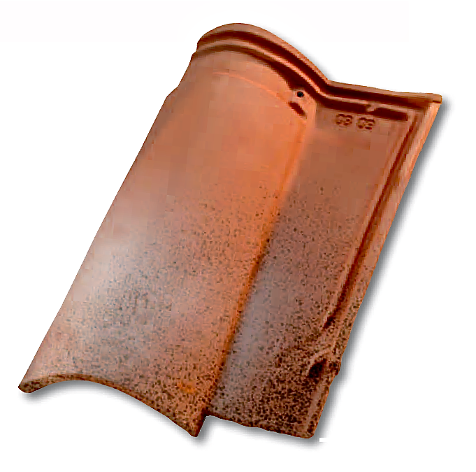 découvrez notre catalogue complet de tuiles, où vous trouverez une large sélection de matériaux, couleurs et styles pour embellir votre projet de construction ou de rénovation. trouvez l'inspiration et faites le choix parfait pour votre toit.