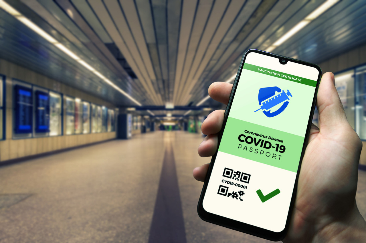 découvrez le certificat vert, un document attestant de l'engagement écologique d'une entreprise en matière de développement durable et de respect de l'environnement. informez-vous sur ses avantages et comment l'obtenir pour valoriser vos initiatives écologiques.
