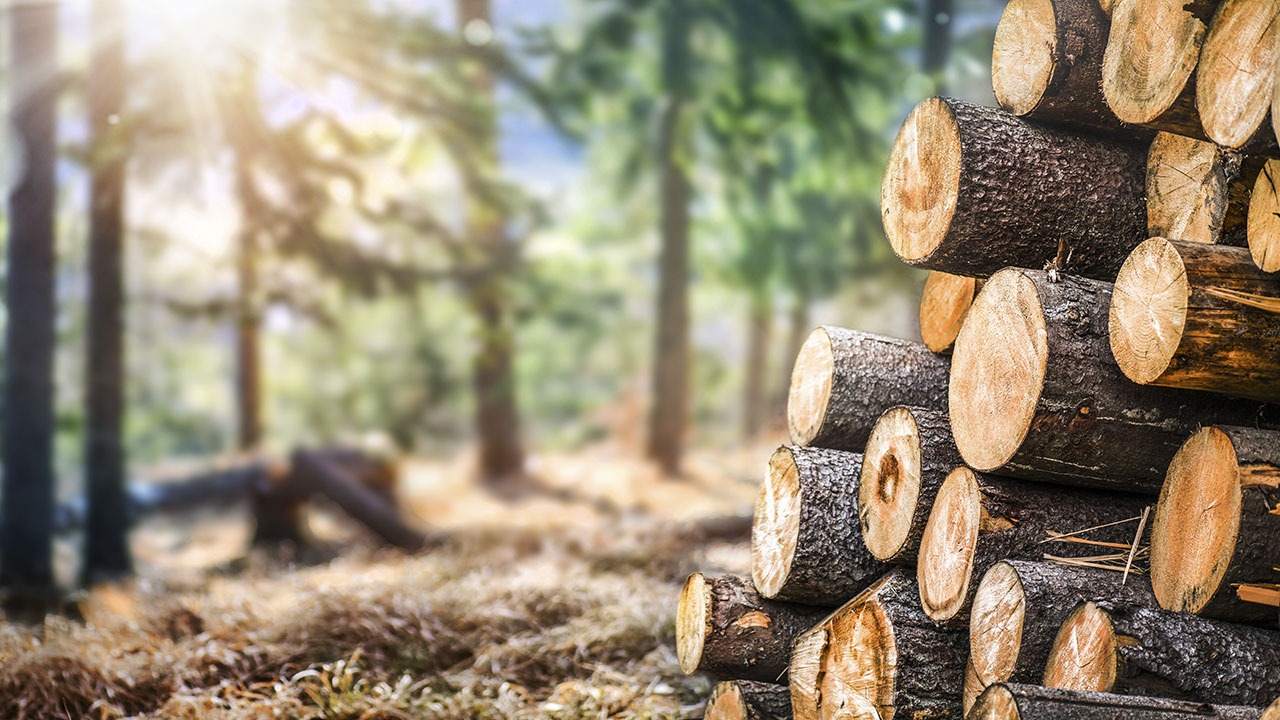 découvrez les avantages du chauffage au bois : une solution écologique, économique et chaleureuse pour votre maison. apprenez à choisir le bon appareil, à optimiser votre consommation et à profiter d'un confort thermique inégalé tout en respectant l'environnement.
