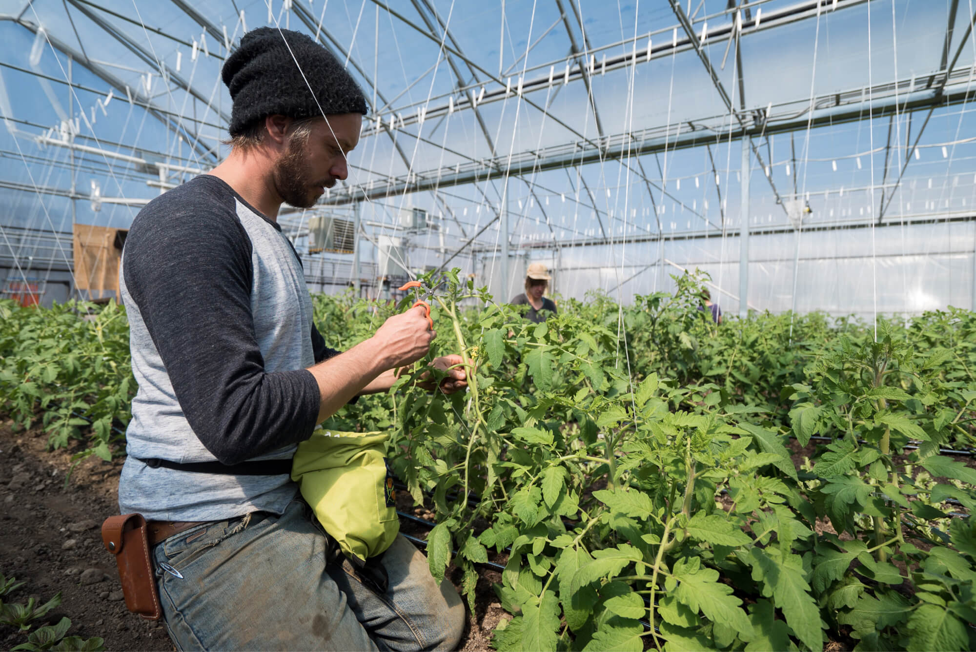 découvrez nos solutions de chauffage pour serres, optimisant la croissance de vos plantes tout en réduisant les coûts énergétiques. profitez d'un environnement idéal pour vos cultures grâce à des systèmes de chauffage innovants et efficaces.