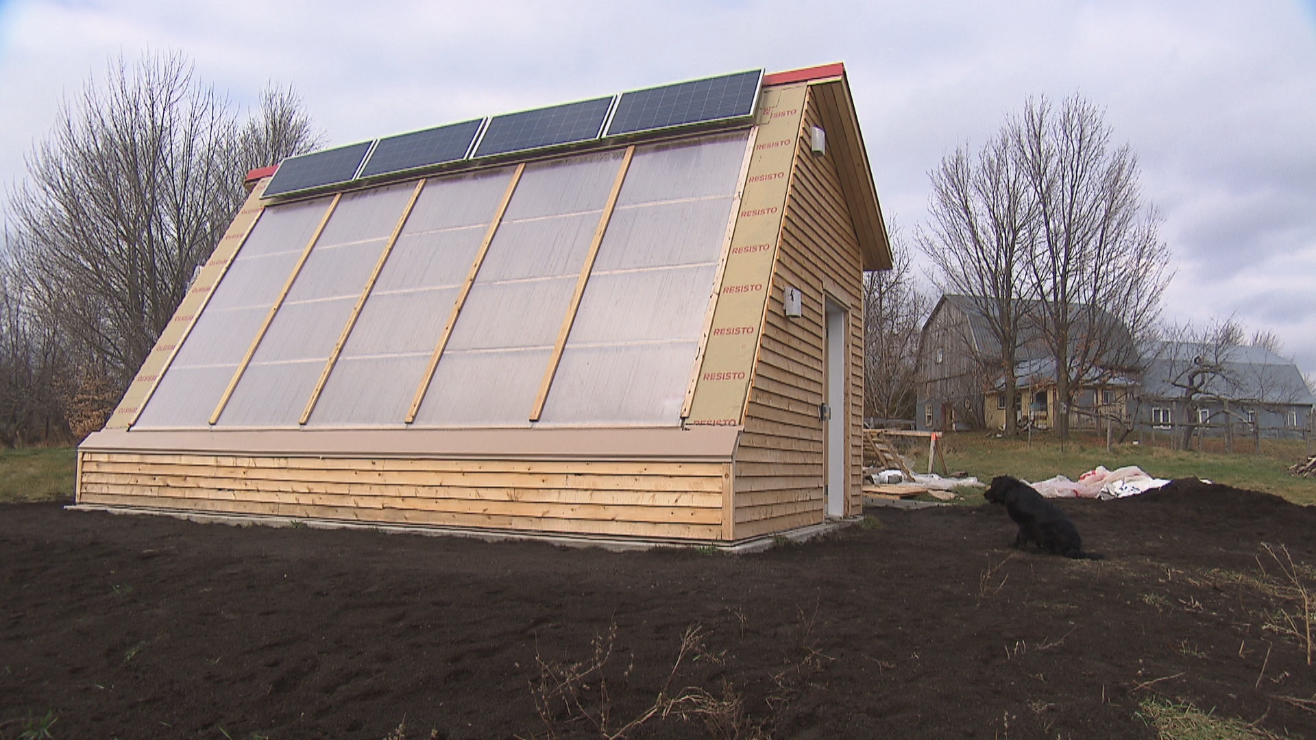 découvrez comment le chauffage solaire pour serre peut optimiser la croissance de vos plantes tout en réduisant votre empreinte énergétique. grâce à des solutions écologiques et efficaces, profitez d'une température idéale toute l'année et maximisez vos récoltes.