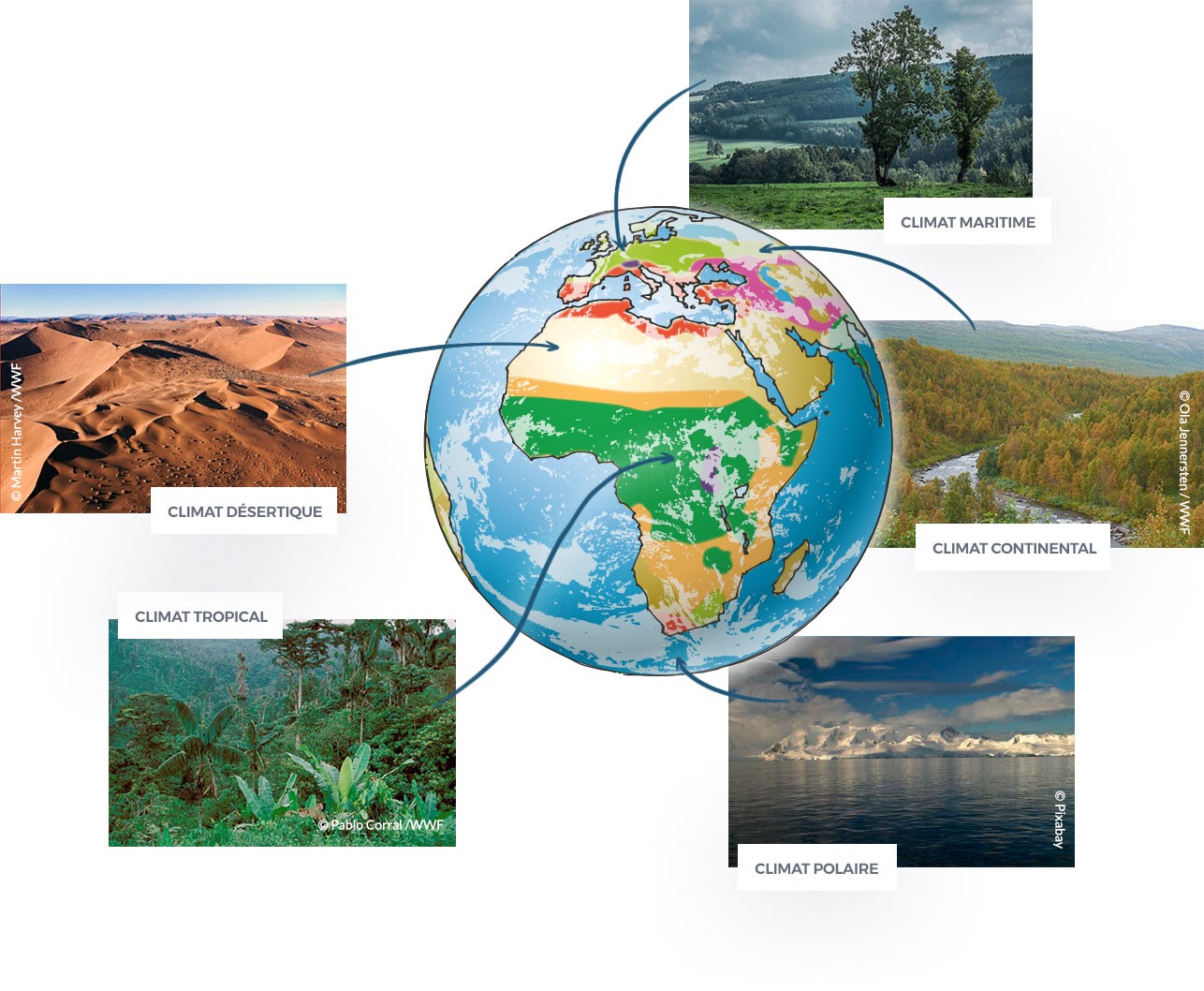 découvrez les enjeux du climat, son impact sur notre planète et les actions nécessaires pour le préserver. informez-vous sur les changements climatiques et comment chacun peut contribuer à un avenir durable.