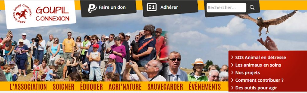 découvrez comment vous connecter à goupil, la plateforme dédiée à vos besoins. suivez nos instructions simples et rapides pour un accès facile à tous vos services et fonctionnalités.