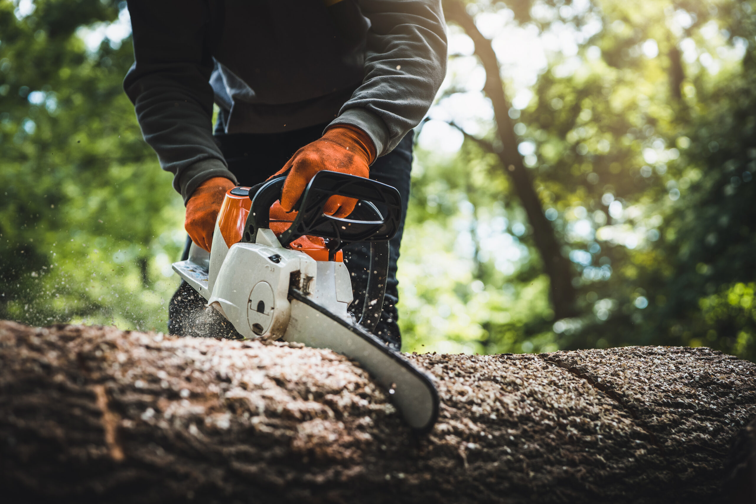 découvrez tout ce qu'il faut savoir sur la consommation des tronçonneuses : conseils pratiques, choix des modèles, efficacité énergétique et impact environnemental. optimisez votre usage tout en préservant la nature!