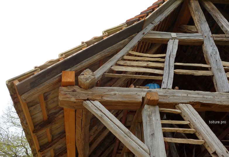 découvrez tout sur le noyau de toiture : ses caractéristiques, ses fonctions et son importance pour la durabilité de votre habitation. apprenez à choisir le bon matériau et à l'entretenir pour garantir une protection optimale contre les intempéries.