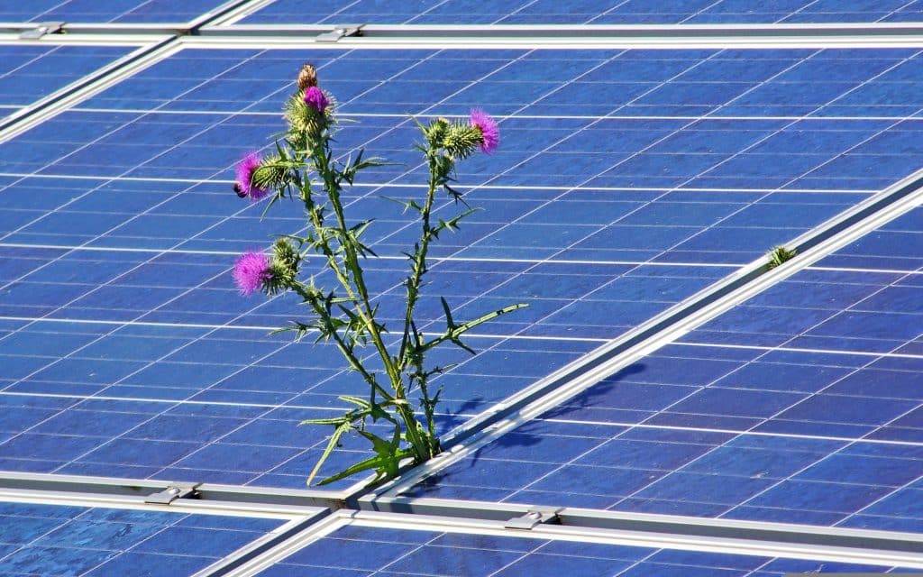 découvrez tout ce qu'il faut savoir sur la durée de vie des cellules photovoltaïques. informez-vous sur les facteurs influençant leur longévité, les technologies disponibles et les meilleures pratiques pour maximiser leur performance au fil des années.