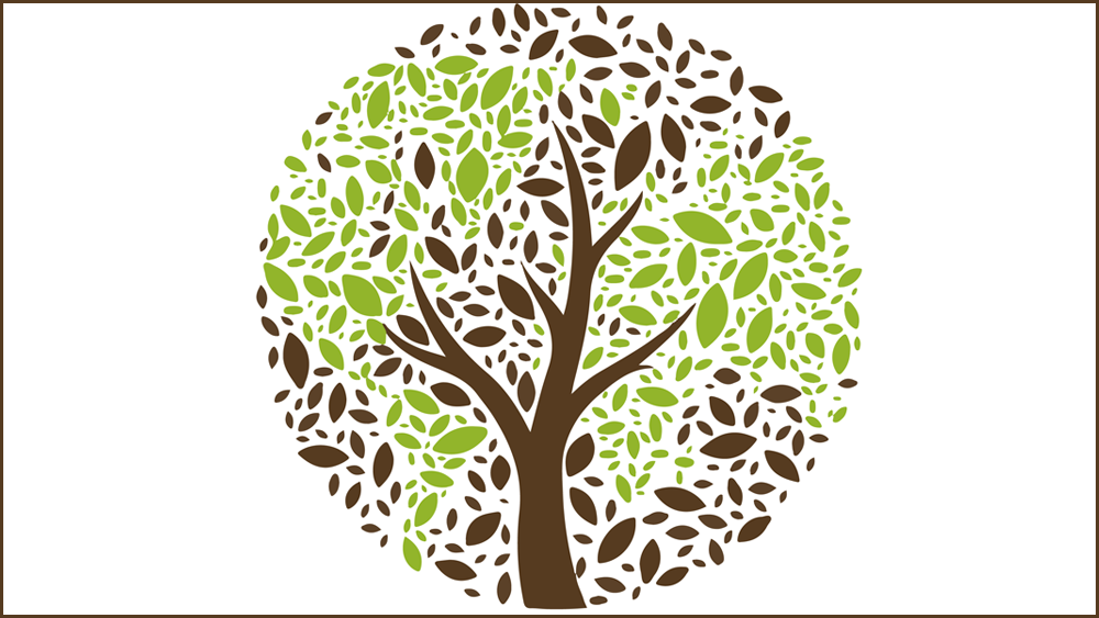 découvrez les enjeux de l'écologie, ses principes fondamentaux et les actions à entreprendre pour préserver notre planète. plongez dans un monde durable et responsable, et engagez-vous pour un avenir meilleur.