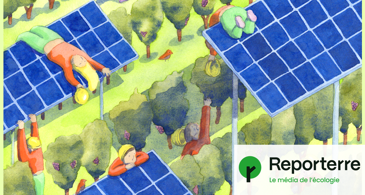 découvrez l'impact positif de l'écologie photovoltaïque en france. apprenez comment l'énergie solaire contribue à la durabilité environnementale, réduit l'empreinte carbone et transforme le paysage énergétique national. explorez les avantages, les projets innovants et les perspectives d'avenir de cette technologie verte.