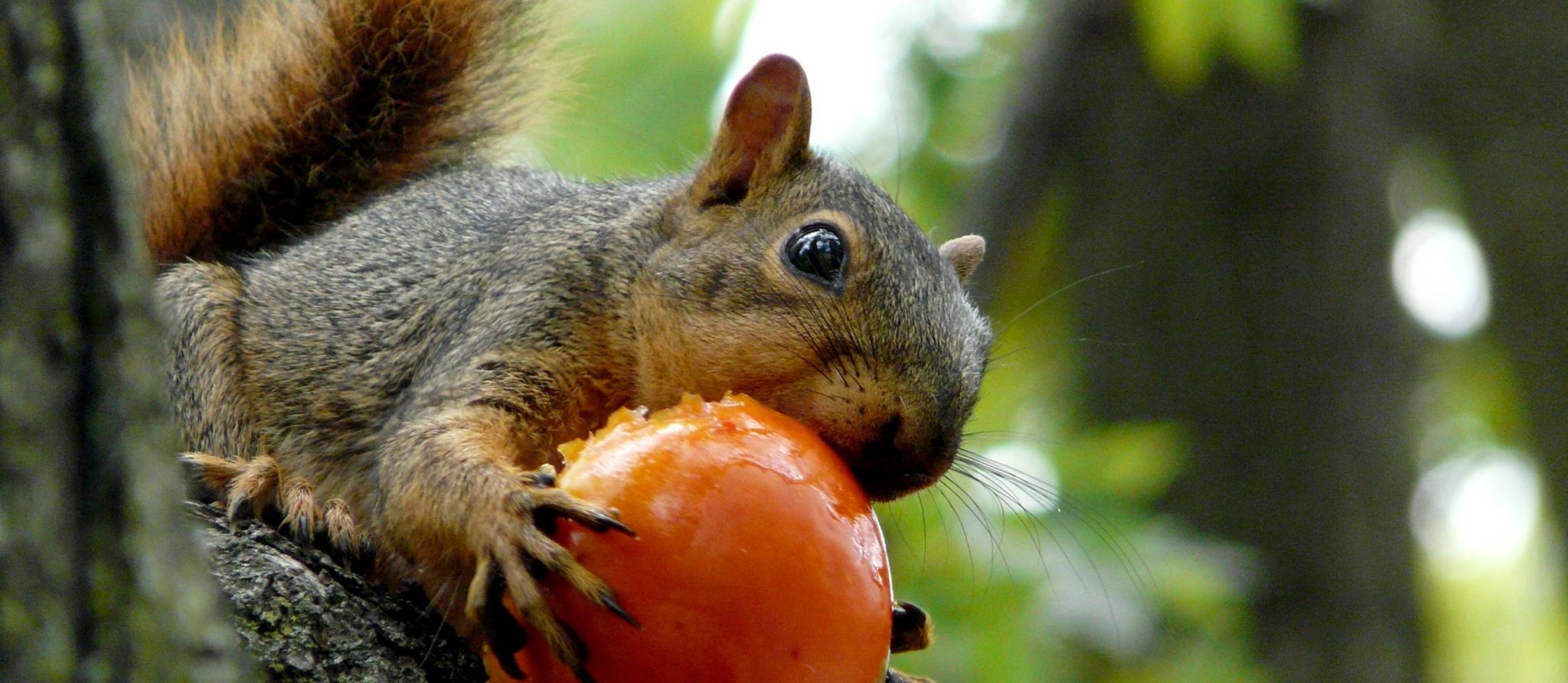 découvrez écure pv, votre expert en solutions photovoltaïques. profitez d'énergies renouvelables pour réduire votre empreinte carbone tout en réalisant des économies sur vos factures d'électricité. explorez nos offres et passez à l'énergie solaire dès aujourd'hui !