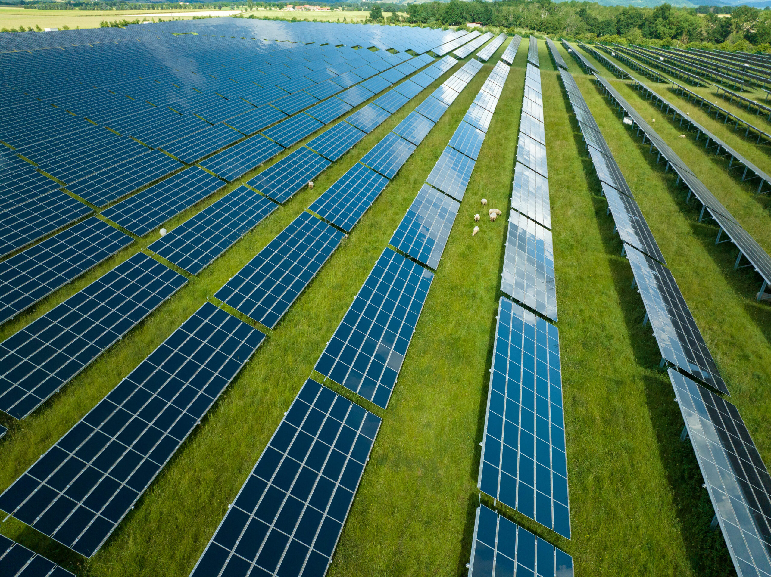 découvrez les avantages de l'électricité solaire : une source d'énergie renouvelable, économique et respectueuse de l'environnement. apprenez comment installer des panneaux solaires et réduire vos factures d'énergie tout en contribuant à la protection de la planète.