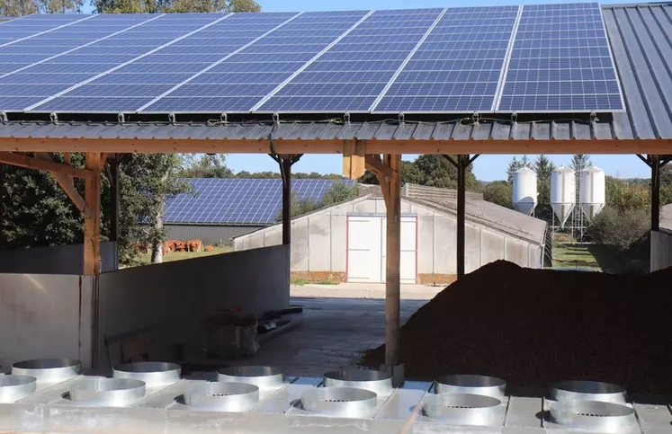 découvrez comment l'énergie photovoltaïque peut transformer l'élevage avicole en offrant des solutions durables et économiques. optimisez votre production grâce à l'installation de panneaux solaires adaptés aux besoins des exploitations avicoles.