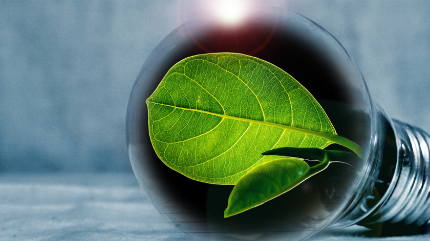 découvrez les avantages des énergies renouvelables pour un avenir durable. informez-vous sur les solutions écologiques comme l'énergie solaire, éolienne, et hydraulique, et comment elles peuvent contribuer à réduire votre empreinte carbone tout en protégeant notre planète.