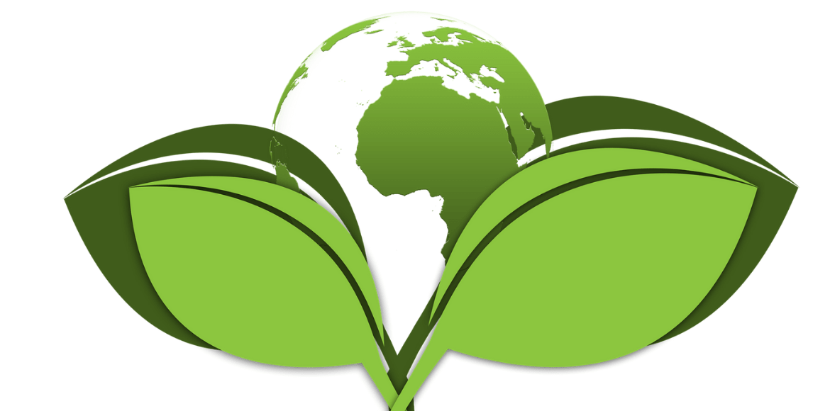 découvrez l'énergie verte, une solution durable et respectueuse de l'environnement. apprenez comment cette alternative écologique révolutionne notre façon de consommer l'énergie et participe à la lutte contre le changement climatique.