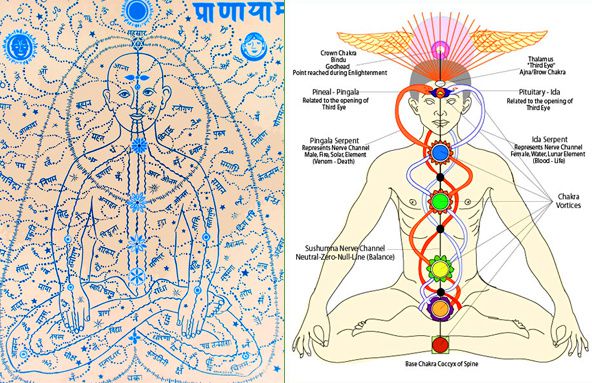découvrez le concept d'énergie vitale et son impact sur notre bien-être. plongez dans l'univers des énergies qui nourrissent notre corps et esprit, et apprenez comment harmoniser votre vitalité au quotidien.