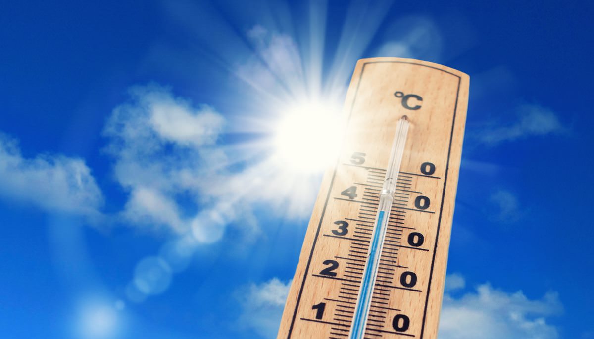découvrez l'exposition solaire, un événement captivant dédié à la science et à l'innovation autour de l'énergie solaire. rejoignez-nous pour explorer les dernières avancées technologiques, assister à des conférences inspirantes et découvrir comment la lumière du soleil peut transformer notre avenir énergétique.