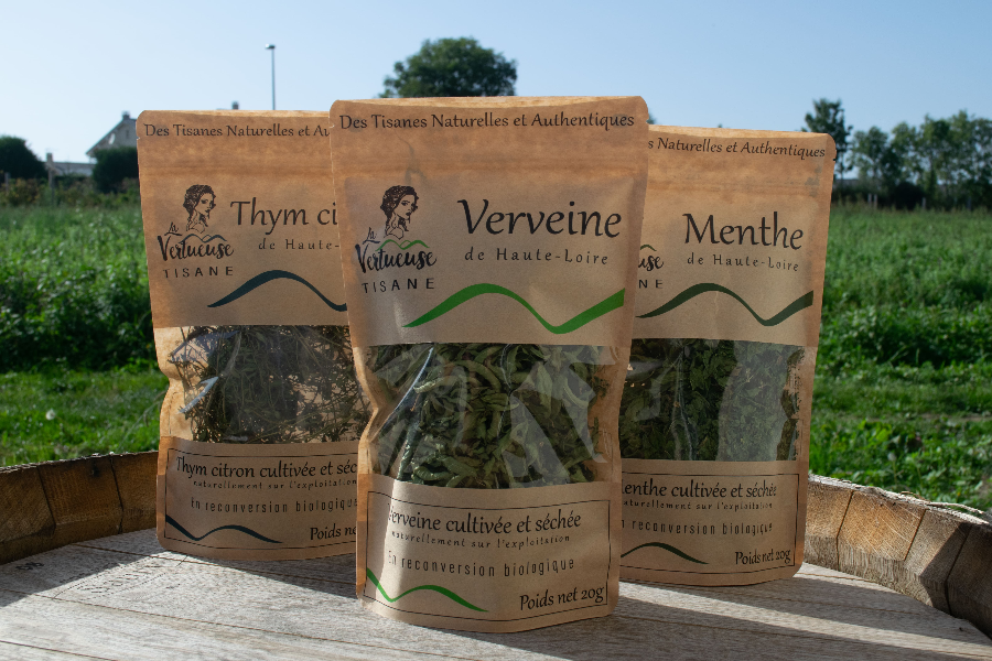 découvrez les derniers faits divers d'yssingeaux. restez informé des événements marquants, des histoires locales et des incidents récents dans cette charmante ville de la haute-loire.