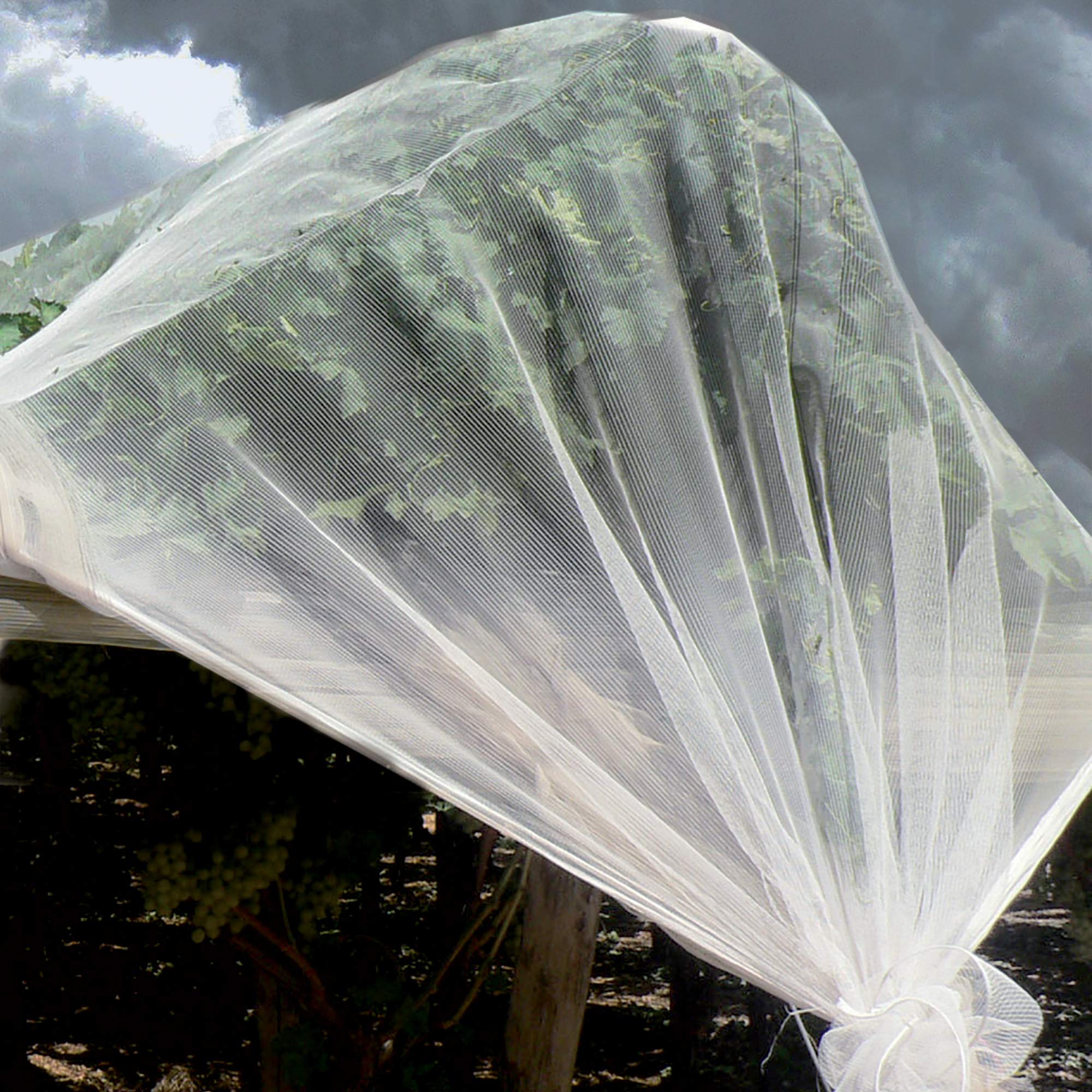 protégez vos cultures avec notre filet anti-grêle de haute qualité. idéal pour prévenir les dommages causés par la grêle et les intempéries, ce filet durable assure une protection optimale de vos plantations tout en laissant passer la lumière et l'eau. investissez dans la sécurité de vos récoltes dès aujourd'hui !