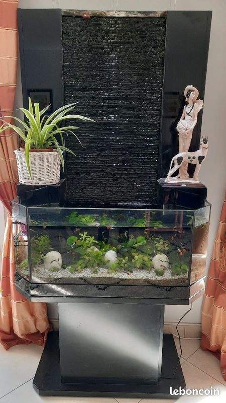 découvrez notre sélection de fontaines pour aquarium, alliant esthétisme et bien-être pour vos poissons. perfectionnez la décoration de votre aquarium tout en assurant une oxygénation optimale de l'eau. idéales pour tous types d'aquariums, nos fontaines apportent une touche vivante à votre environnement aquatique.