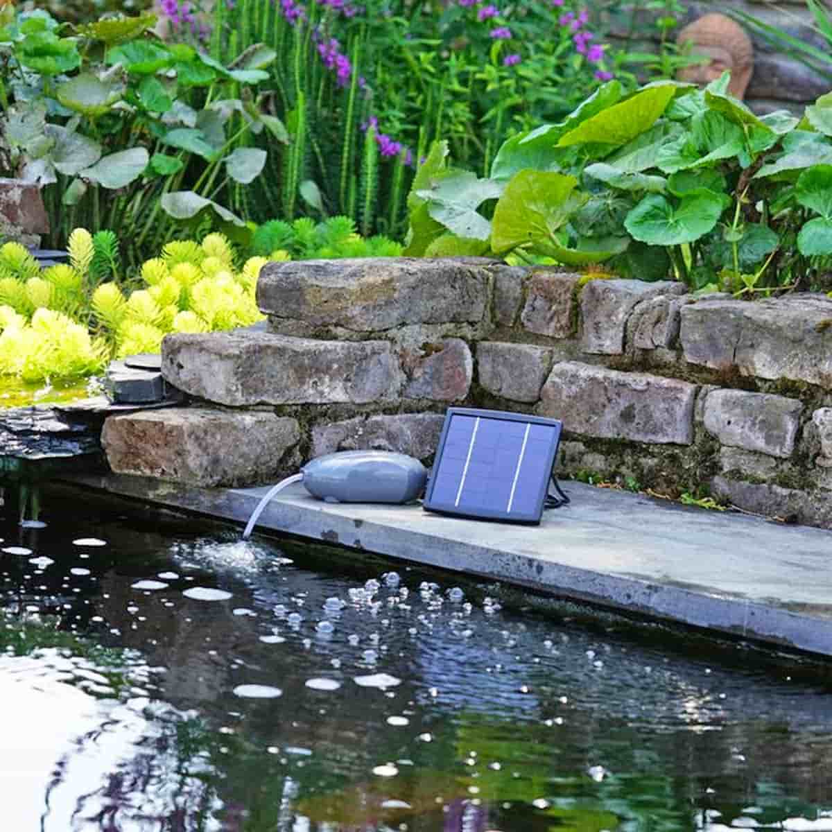 découvrez notre fontaine solaire, l'ajout parfait pour embellir votre jardin tout en préservant l'environnement. profitez de l'eau qui s'écoule doucement grâce à l'énergie du soleil, créant une atmosphère apaisante et naturelle. idéale pour attirer les oiseaux et ajouter une touche décorative à votre espace extérieur.