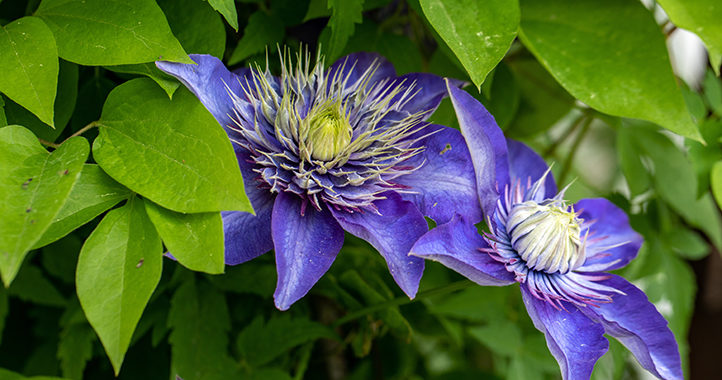 rejoignez notre forum bipolaire, un espace de soutien et de partage pour les personnes vivant avec le trouble bipolaire. discutez, échangez des expériences et obtenez des conseils auprès d'une communauté bienveillante et compréhensive.