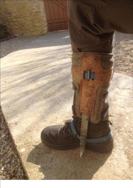 découvrez notre forum dédié à l'élagage, un espace d'échange pour les passionnés et les professionnels. partagez vos conseils, posez des questions et trouvez des ressources sur les meilleures techniques d'élagage, les outils recommandés et les astuces pour entretenir vos arbres. rejoignez notre communauté dès aujourd'hui !