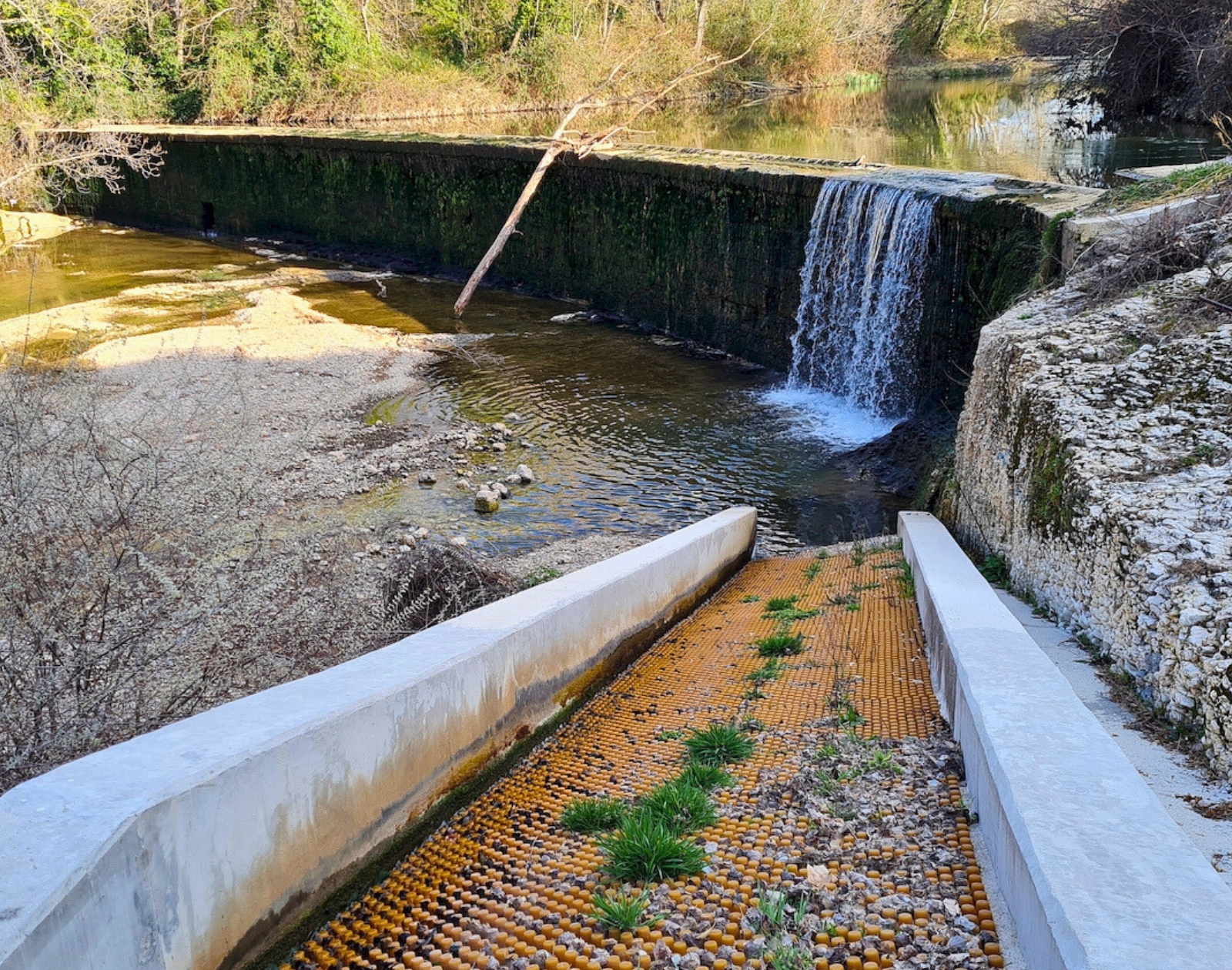 découvrez notre forum consacré à l'hydroélectricité. échangez sur les technologies, projets et innovations du secteur, partagez vos expériences et restez informé des dernières actualités dans le domaine de l'énergie renouvelable.
