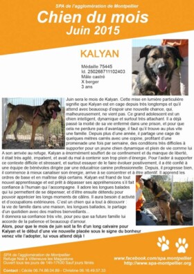 découvrez le forum spa montpellier, votre destination bien-être incontournable. profitez de conseils, d'échanges et d'actualités sur les soins spa, les techniques de relaxation et les tendances bien-être à montpellier. rejoignez notre communauté pour partager vos expériences et trouver le lieu parfait pour vous ressourcer!