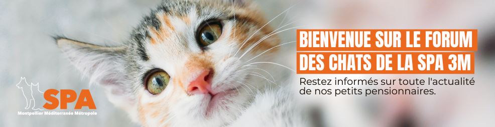 découvrez le forum spa de montpellier, un lieu dédié au bien-être et à la détente. partagez vos expériences, trouvez des conseils sur les meilleurs spas de la région, et connectez-vous avec d'autres passionnés de relaxation.