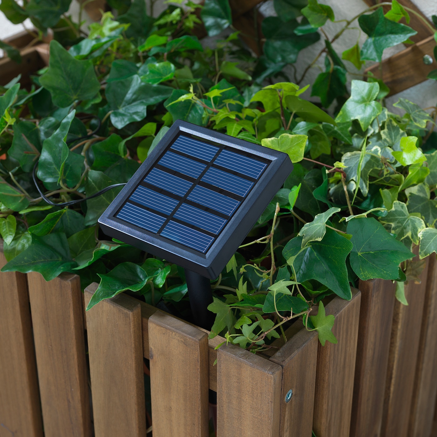 découvrez la gamme innovante d'éclairages solaires ikea, idéale pour illuminer votre espace extérieur tout en respectant l'environnement. profitez de solutions durables et esthétiques pour créer une ambiance chaleureuse dans votre jardin ou sur votre terrasse.