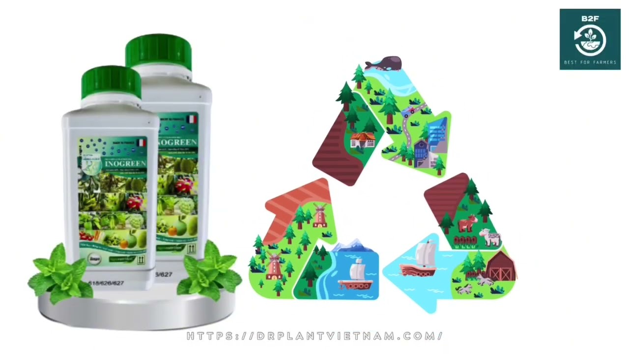 découvrez inogreen, une entreprise innovante spécialisée dans les solutions durables et écologiques. explorez notre gamme de produits respectueux de l'environnement et engagez-vous pour un avenir plus vert.