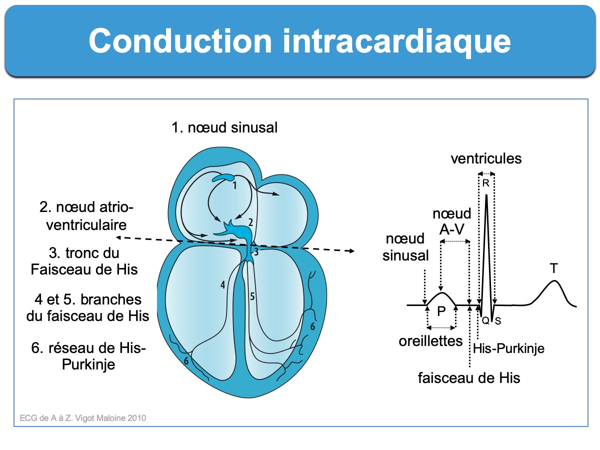 découvrez les intercardinaux, ces points cardinaux intermédiaires qui enrichissent notre compréhension de la direction et de l'orientation. apprenez leur importance en navigation, en cartographie et dans la vie quotidienne.