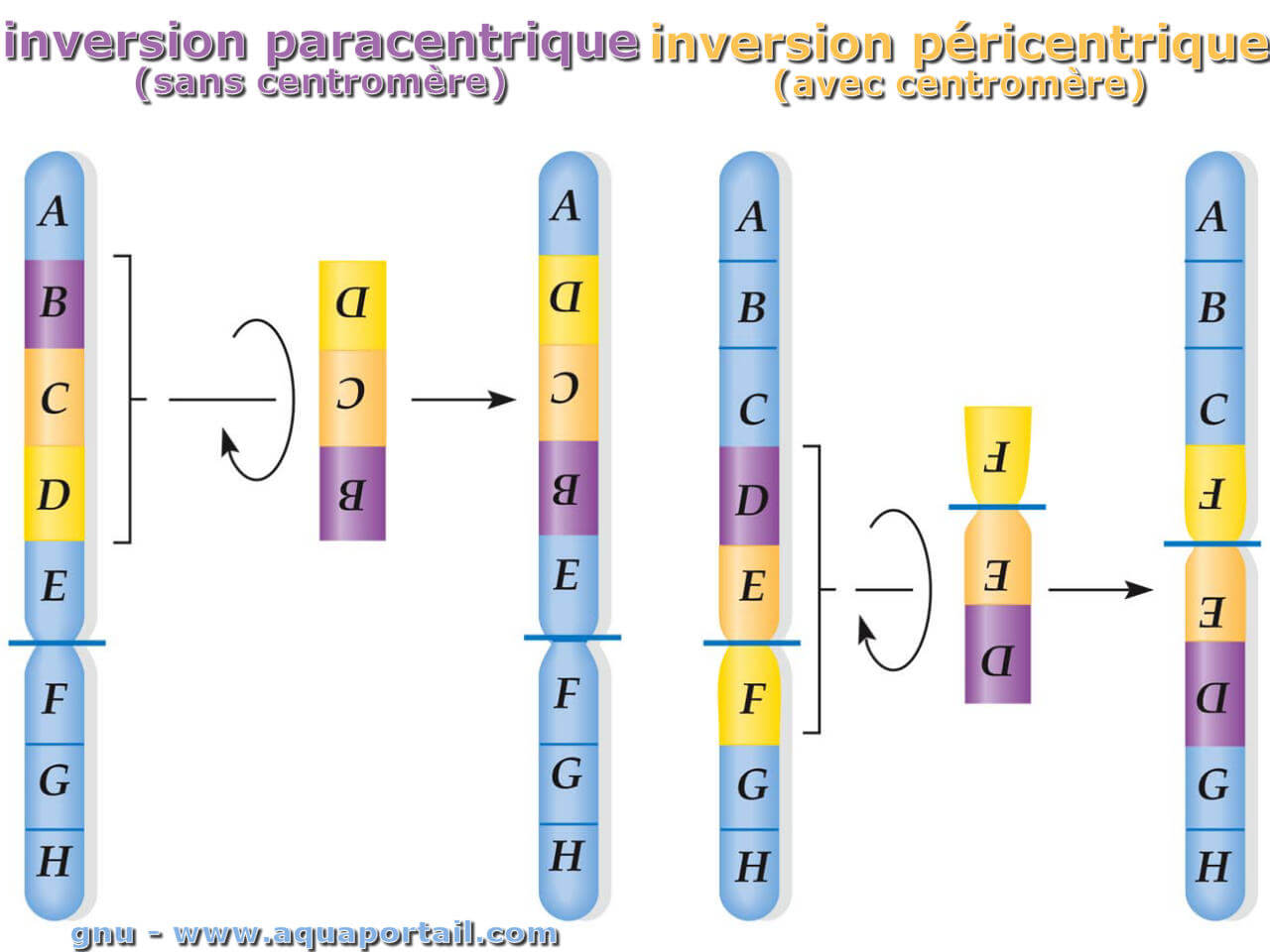 découvrez le concept d'inversion : une technique qui transforme la perception et offre de nouvelles perspectives dans divers contextes. explorez ses applications en psychologie, en art et en sciences, et apprenez comment l'inversion peut enrichir votre compréhension du monde.