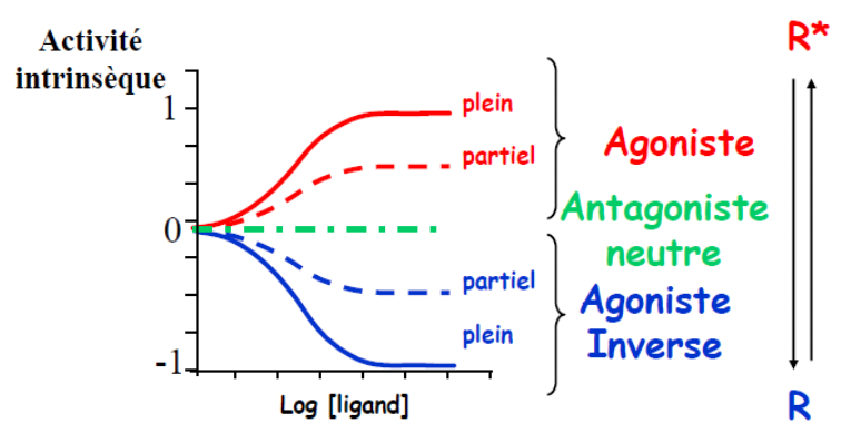 découvrez le concept d'inversion neutre, une approche innovante en finance et en économie qui vise à équilibrer les risques et les bénéfices. apprenez comment cette stratégie peut améliorer vos décisions financières et optimiser vos investissements.
