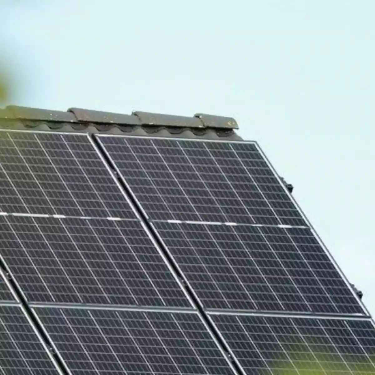 découvrez notre kit solaire chinois, une solution économique et écologique pour transformer l'énergie solaire en électricité. idéal pour les particuliers et les petites entreprises, ce kit est facile à installer et vous permettra de réduire vos factures d'énergie tout en contribuant à la planète.