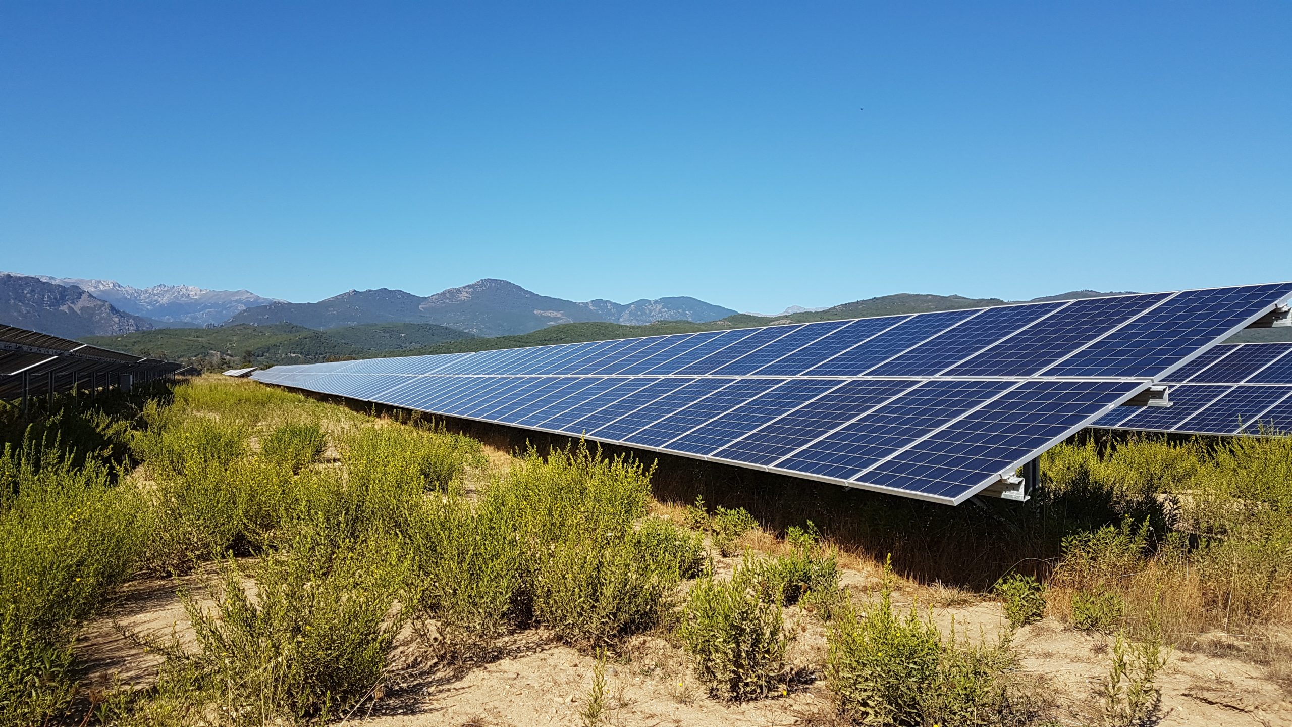 découvrez les leaders de l'énergie solaire, acteurs incontournables de la transition énergétique. découvrez les innovations, technologies et solutions durables qu'ils proposent pour un avenir plus vert.