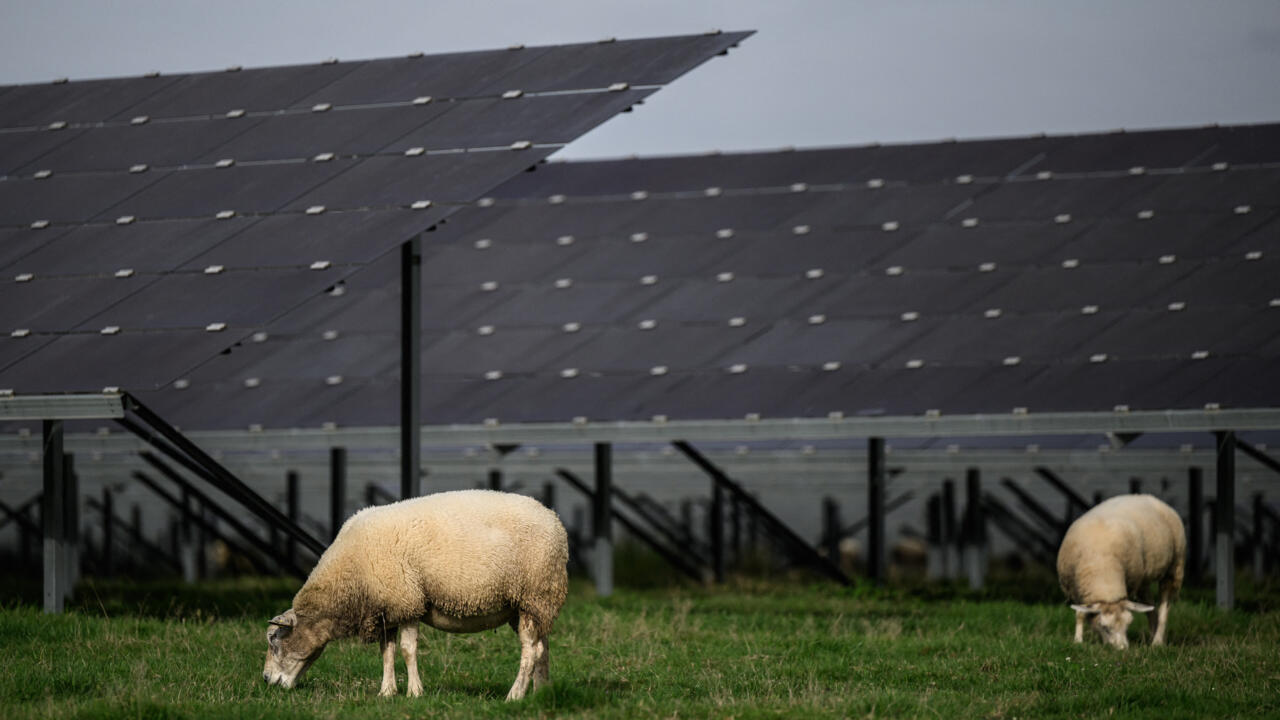 découvrez les lois photovoltaïques qui régissent l'installation et l'utilisation de panneaux solaires en france. informez-vous sur les réglementations, les incitations financières et les obligations légales pour un projet solaire réussi.