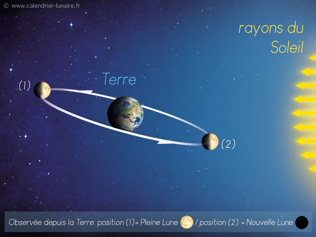 découvrez les mystères et les merveilles de la lune, notre satellite naturel, à travers son influence sur la terre, ses phases fascinantes et les explorations spatiales qui ont captivé l'humanité depuis des siècles.