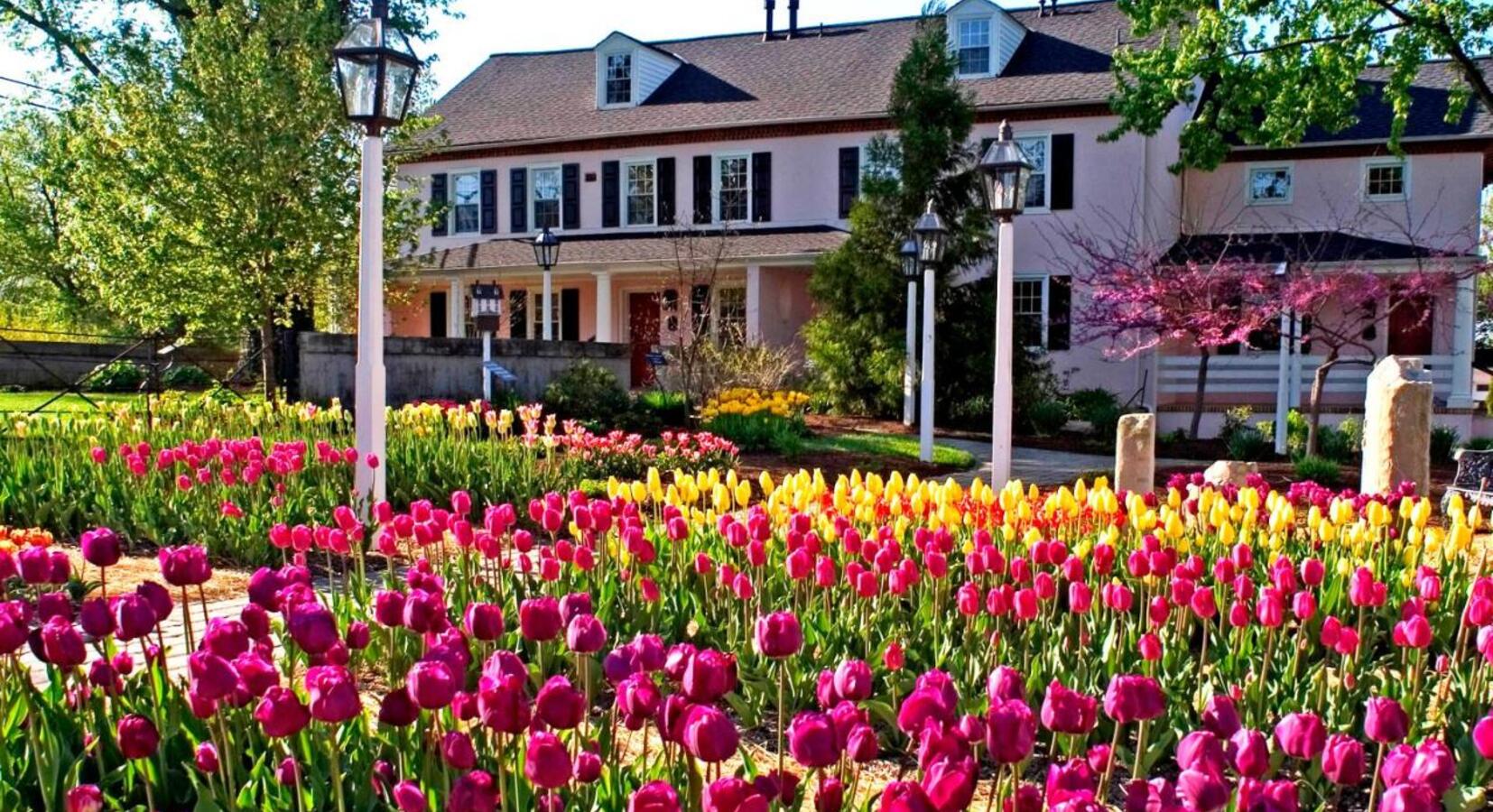 découvrez montchanin, une charmante commune française située en bourgogne, où l'histoire, la culture et la nature se rencontrent pour offrir une expérience inoubliable. explorez son patrimoine, ses parcs et ses activités locales.