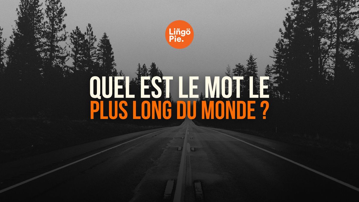 découvrez l'univers fascinant des mots, leur puissance, leur beauté et leur impact au quotidien. plongez dans l'art de la communication et explorez comment chaque mot peut changer une pensée, un sentiment ou même le monde qui vous entoure.