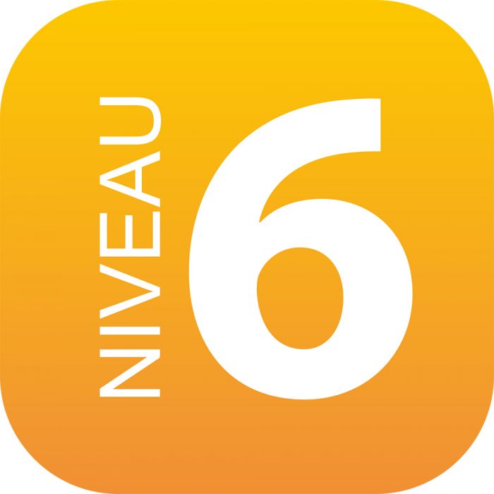 découvrez le niveau 6, un étape cruciale pour maîtriser vos compétences et atteindre vos objectifs. plongez dans un apprentissage approfondi et des ressources adaptées pour progresser efficacement.