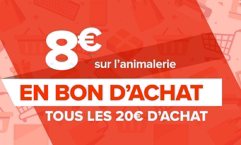 découvrez les meilleures offres carrefour et profitez de remises exceptionnelles sur une large sélection de produits. économisez tout en faisant vos courses avec nos promotions exclusives et nos bons plans selon vos besoins!