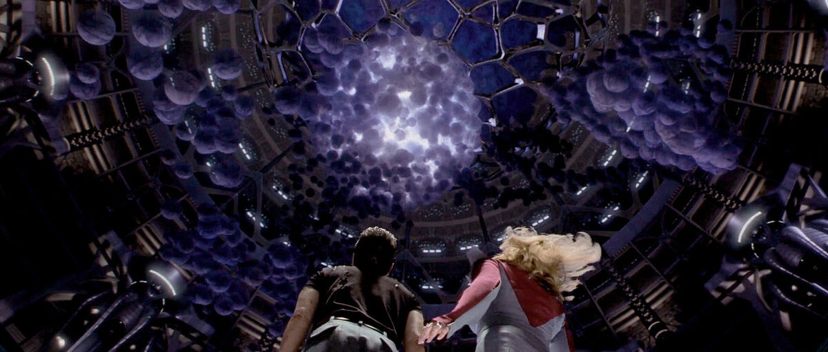 découvrez les bienfaits des oméga 13, une acide gras essentiel pour la santé. apprenez comment intégrer ces nutriments dans votre alimentation pour améliorer votre bien-être général et soutenir vos fonctions cognitives.