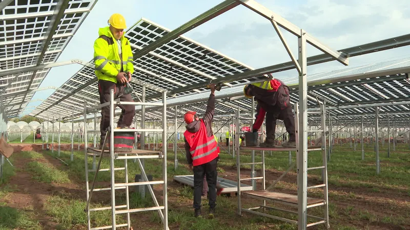 découvrez les avantages des panneaux photovoltaïques à brumath. économisez sur vos factures d'électricité tout en contribuant à la protection de l'environnement grâce à une énergie renouvelable et durable.
