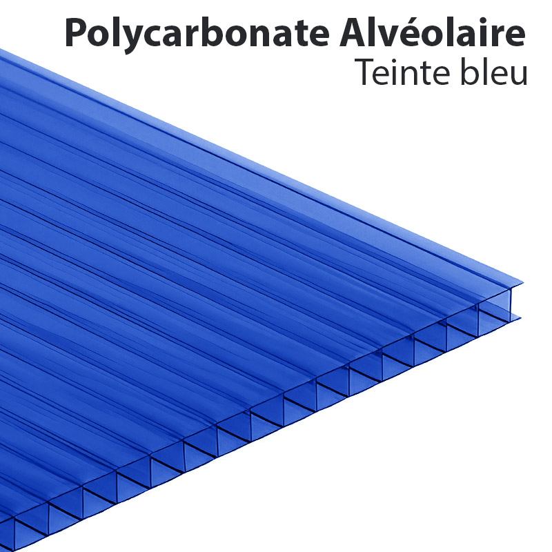 découvrez nos panneaux en polycarbonate, idéaux pour vos projets de construction et d'aménagement. offrant une excellent isolation thermique et une grande résistance aux chocs, ces panneaux sont parfaits pour les vérandas, serres et couvertures diverses. explorez notre large sélection pour répondre à tous vos besoins.