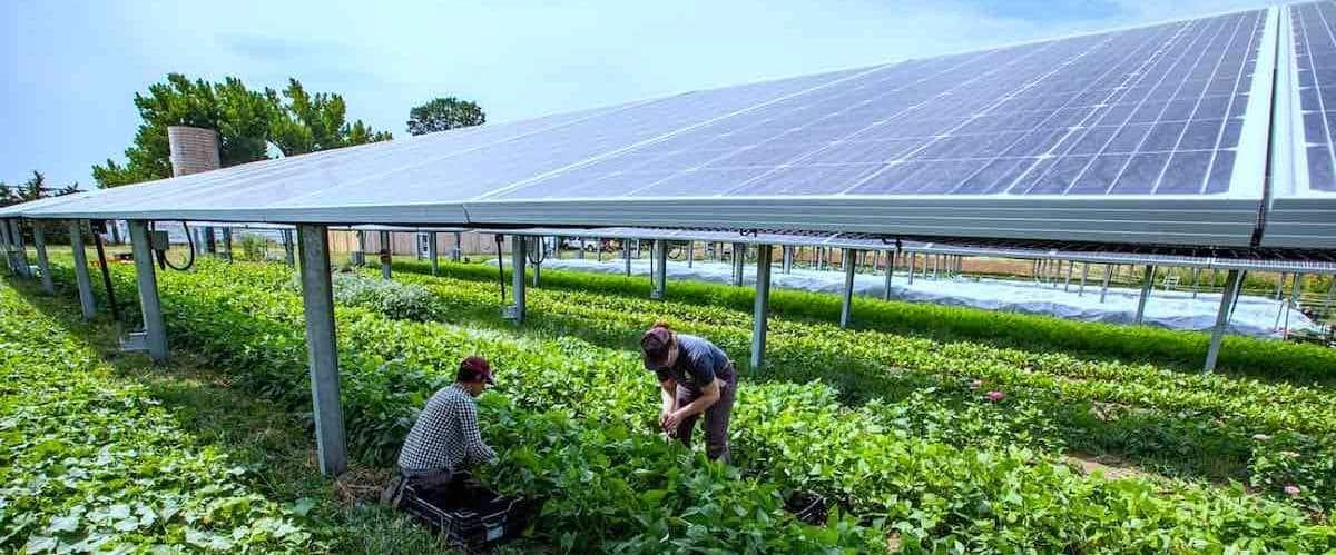 découvrez comment les panneaux solaires agricoles transforment l'agriculture moderne en offrant une solution durable pour la production d'énergie. optimisez vos exploitations tout en minimisant votre empreinte carbone grâce à des technologies innovantes adaptées aux besoins des agriculteurs.