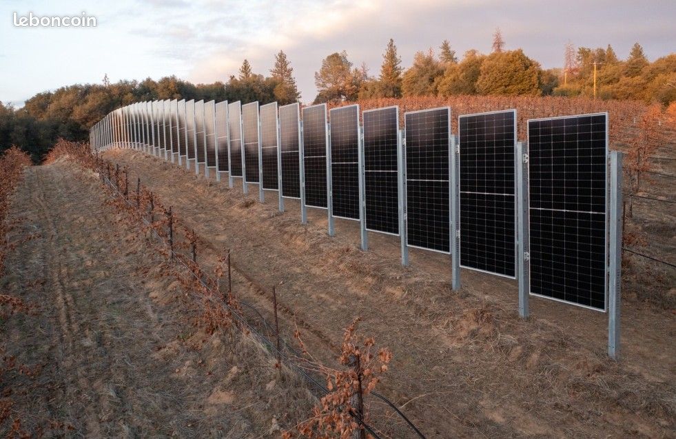 découvrez comment les panneaux solaires intégrés aux clôtures peuvent transformer votre espace extérieur tout en générant de l'énergie renouvelable. optez pour une solution écologique et innovante, alliant esthétique et fonctionnalité pour un jardin durable.