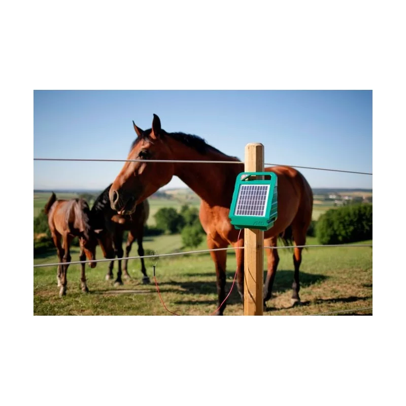 découvrez notre solution innovante de panneaux solaires intégrés dans des clôtures, alliant esthétisme et efficacité énergétique. optimisez votre espace extérieur tout en contribuant à la protection de l'environnement.